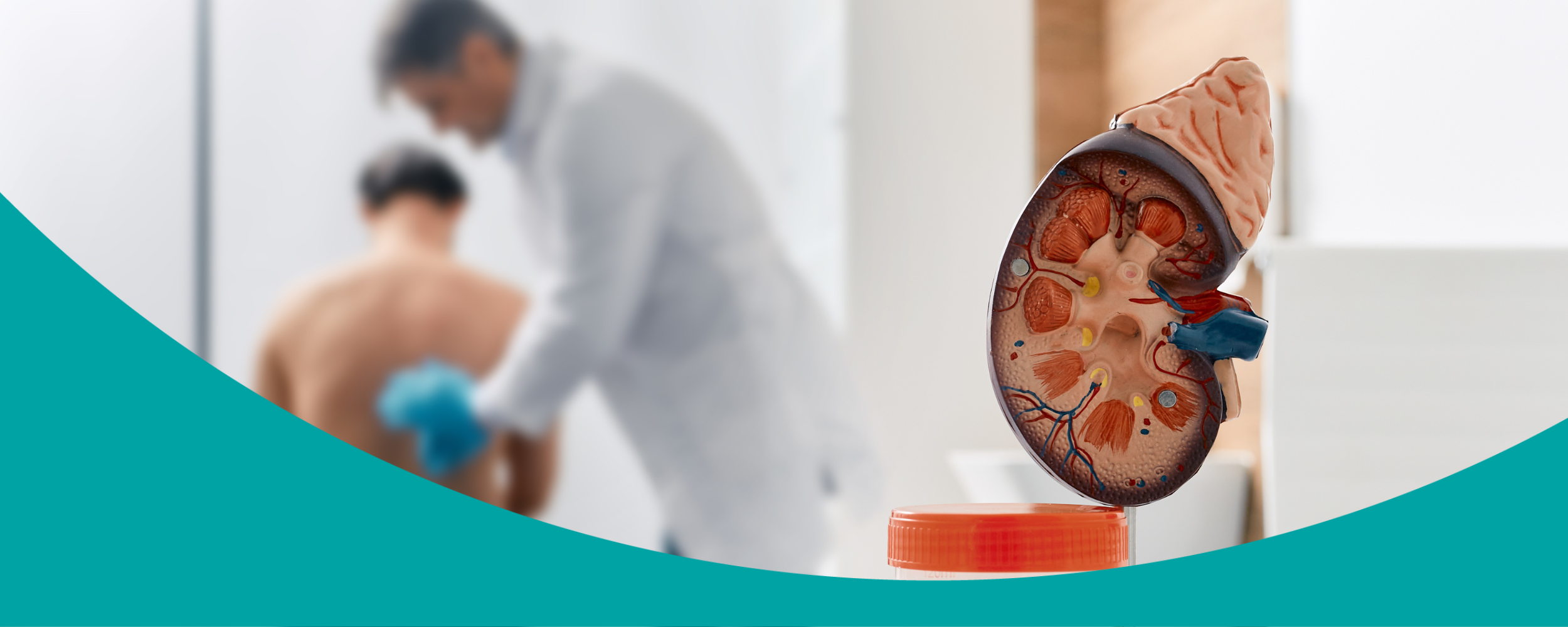 Chronic Kidney Disease EMR Tool: A Case Study on Detecting the Risk and Facilitating Appropriate, Timely Management and Referral to Nephrology